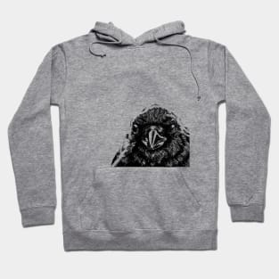 Interaction with crow Hoodie